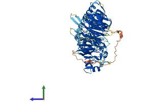 AlphaFold protein structure predicition of Human Recombinant LRWD1 Protein, UniprotID Q9UFC0