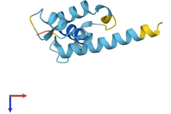 S100A13 Protein (AA 1-98) (His tag)
