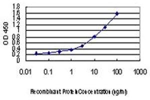 Detection limit for recombinant GST tagged IRF4 is approximately 0. (IRF4 抗体  (AA 342-451))