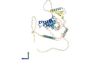 Protein Structure (PS) image for Bromodomain Containing 9 (BRD9) (AA 1-597) protein (His tag) (ABIN7552706)