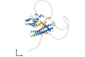 Protein Structure (PS) image for TAF7-Like RNA Polymerase II, TATA Box Binding Protein (TBP)-Associated Factor, 50kDa (TAF7L) (AA 1-471) protein (His tag) (ABIN7560956)