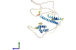 AlphaFold protein structure predicition of Mouse Recombinant Meis1 Protein, UniprotID Q60954