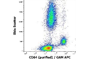 Flow cytometry surface staining pattern of human peripheral blood stained using anti-human CD64 (10. (FCGR1A 抗体)