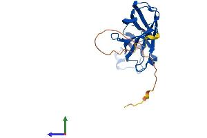 Protein Structure (PS) image for ASF1 Anti-Silencing Function 1 Homolog B (ASF1B) (AA 1-202) protein (His tag) (ABIN7561240)