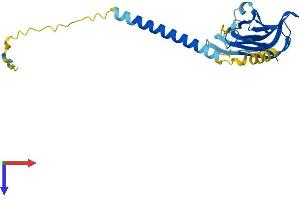 Protein Structure (PS) image for Tumor Necrosis Factor (Ligand) Superfamily, Member 14 (TNFSF14) (AA 1-239) protein (His tag) (ABIN7561790)