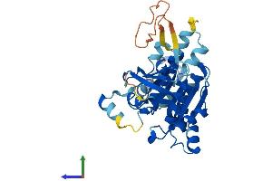 Protein Structure (PS) image for RAD51 Homolog B (Rad51B) (AA 1-350) protein (His tag) (ABIN7562373)