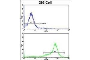 Flow Cytometry (FACS) image for anti-Protein tyrosine Phosphatase, Non-Receptor Type 11 (PTPN11) (AA 526-551) antibody (ABIN6243732)