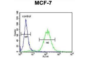 CES2 Antibody (Center) flow cytometric analysis of MCF-7 cells (right histogram) compared to a negative control cell (left histogram). (CES2 抗体  (Middle Region))