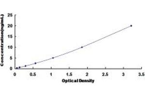 Typical standard curve (PPM1A ELISA 试剂盒)