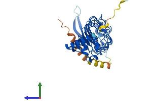 Protein Structure (PS) image for Leucine Rich Repeat Containing 23 (LRRC23) (AA 1-340) protein (His tag) (ABIN7562268)