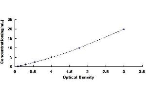Typical standard curve (RTN4R ELISA 试剂盒)