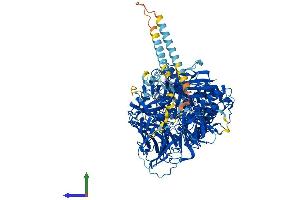 Protein Structure (PS) image for Mannosidase, Alpha, Class 2A, Member 2 (MAN2A2) (AA 1-1150) protein (His tag) (ABIN7554500)