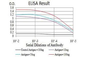 Black line: Control Antigen (100 ng),Purple line: Antigen (10 ng), Blue line: Antigen (50 ng), Red line:Antigen (100 ng) (CIRBP 抗体  (AA 1-90))