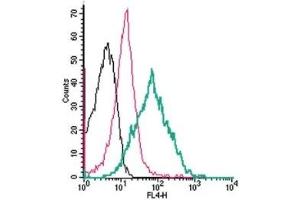 Cell surface detection of PAR4 by direct flow cytometry in live intact mouse P815 mast cells: (black line) Cells.