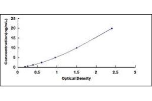 Gasdermin D (GSDMD) ELISA Kit