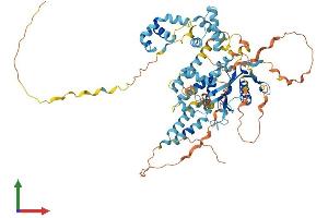 Protein Structure (PS) image for Tigger Transposable Element Derived 5 (TIGD5) (AA 1-642) protein (His tag) (ABIN7544347)