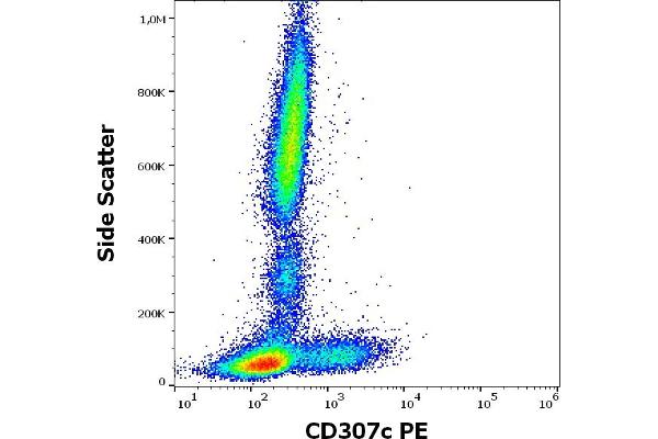 FCRL3 anticorps  (PE)