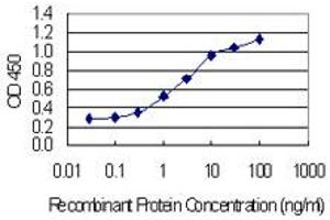Detection limit for recombinant GST tagged HSPA8 is 0.