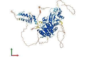 Protein Structure (PS) image for TRM1 tRNA Methyltransferase 1-Like (TRMT1L) (AA 1-733) protein (His tag) (ABIN7544806)