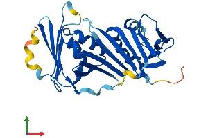 Protein Structure (PS) image for Cell Cycle Checkpoint Protein RAD1 (RAD1) (AA 1-282) protein (His tag) (ABIN7555114)