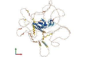 Protein Structure (PS) image for RUN and SH3 Domain Containing 1 (RUSC1) (AA 1-902) protein (His tag) (ABIN7555308)