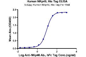 Immobilized Human NKp46, His Tag at 0. (NCR1 Protein (AA 22-254) (His tag))