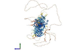 AlphaFold protein structure predicition of Mouse Recombinant Inppl1 Protein, UniprotID Q6P549 (INPPL1 Protein (AA 1-1257) (His tag))