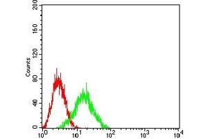 Flow cytometric analysis of HL-60 cells using IL10RB mouse mAb (green) and negative control (red). (IL10RB 抗体  (AA 20-220))