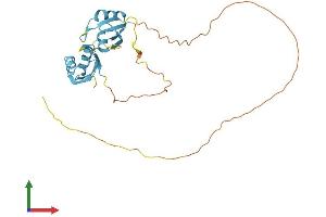 Protein Structure (PS) image for serine/arginine-Rich Splicing Factor 5 (SRSF5) (AA 1-272) protein (His tag) (ABIN7546443)