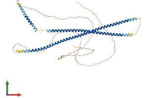 Protein Structure (PS) image for Keratin 9 (KRT9) (AA 1-623) protein (His tag) (ABIN7548725)