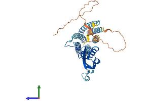 Protein Structure (PS) image for Solute Carrier Family 30 (Zinc Transporter), Member 3 (Slc30a3) (AA 1-388) protein (His tag) (ABIN7545840)