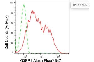 Flow cytometric analysis of G3BP1 expression in HepG2 cells using G3BP1 antibody (ABIN7798815), 1:2,000). (Recombinant G3BP1 抗体)