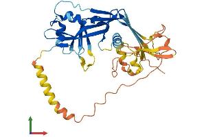 Protein Structure (PS) image for Deafness, Autosomal Recessive 59 (DFNB59) (AA 1-352) protein (His tag) (ABIN7556960)
