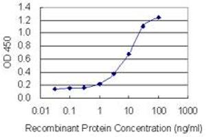 Detection limit for recombinant GST tagged OVGP1 is 0. (OVGP1 抗体  (AA 579-677))