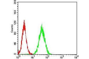 Flow Cytometry (FACS) image for anti-Rho-related GTP-binding protein RhoF (RHOF) (AA 1-84) antibody (ABIN5542557)