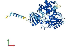 Protein Structure (PS) image for Cytochrome P450, Family 39, Subfamily A, Polypeptide 1 (CYP39A1) (AA 1-469) protein (His tag) (ABIN7546689)