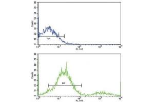 Flow Cytometry (FACS) image for anti-Induced Myeloid Leukemia Cell Differentiation Protein Mcl-1 (MCL1) (AA 191-226) antibody (ABIN3031299)