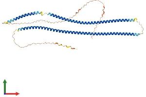 Protein Structure (PS) image for Keratin 35 (KRT35) (AA 1-455) protein (His tag) (ABIN7557364)