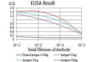Black line: Control Antigen (100 ng),Purple line: Antigen (10 ng), Blue line: Antigen (50 ng), Red line:Antigen (100 ng) (AKT1 抗体  (AA 1-150))