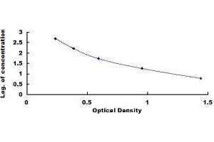 ELISA image for Serpin Peptidase Inhibitor, Clade G (C1 Inhibitor), Member 1 (SERPING1) ELISA Kit (ABIN1568694)