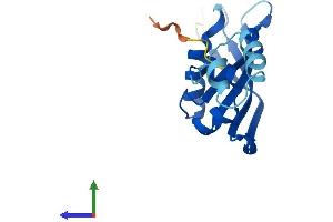 Protein Structure (PS) image for Ribosomal Protein S24 (RPS24) (AA 1-133) protein (His tag) (ABIN7556619)