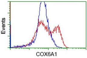 Flow Cytometry (FACS) image for anti-Cytochrome C Oxidase Subunit VIa Polypeptide 1 (COX6A1) antibody (ABIN1497585) (COX6A1 抗体)