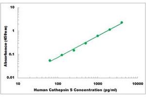 Representative Standard Curve (Cathepsin S ELISA 试剂盒)
