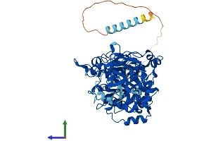 Protein Structure (PS) image for UDP-N-Acetyl-alpha-D-Galactosamine:polypeptide N-Acetylgalactosaminyltransferase 2 (GalNAc-T2) (GALNT2) (AA 1-570) protein (His tag) (ABIN7558033)