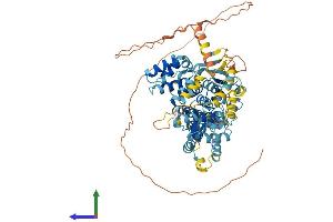 Protein Structure (PS) image for NLR Family, Pyrin Domain Containing 10 (NLRP10) (AA 1-673) protein (His tag) (ABIN7564536)