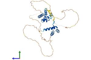 Protein Structure (PS) image for POU Domain, Class 3, Transcription Factor 4 (POU3F4) (AA 1-361) protein (His tag) (ABIN7556611)
