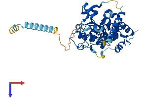 CHST11 Protein (AA 1-352) (His tag)
