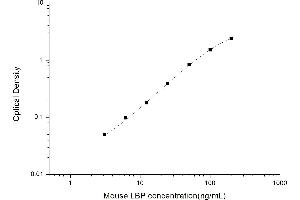 LBP ELISA 试剂盒