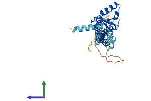 Protein Structure (PS) image for E3 SUMO-Protein Ligase NSE2 (NSMCE2) (AA 1-247) protein (His tag) (ABIN7564788)