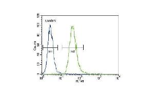 TNFR- Antibody (ABIN655093 and ABIN2844728) flow cytometric analysis of A549 cells (right histogram) compared to a negative control cell (left histogram). (TNFR-S274 (AA 252-281) 抗体)
